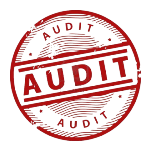 audit-servizio