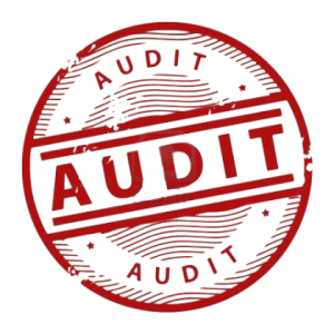 audit-servizio audit-servizio